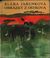 243743 : Klára Jarunková -  Obrázky z ostrova