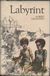 244456 : Albert Lichanov -  Labyrint