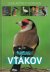 3612 : Dominik Marchowski -  Atlas vtákov